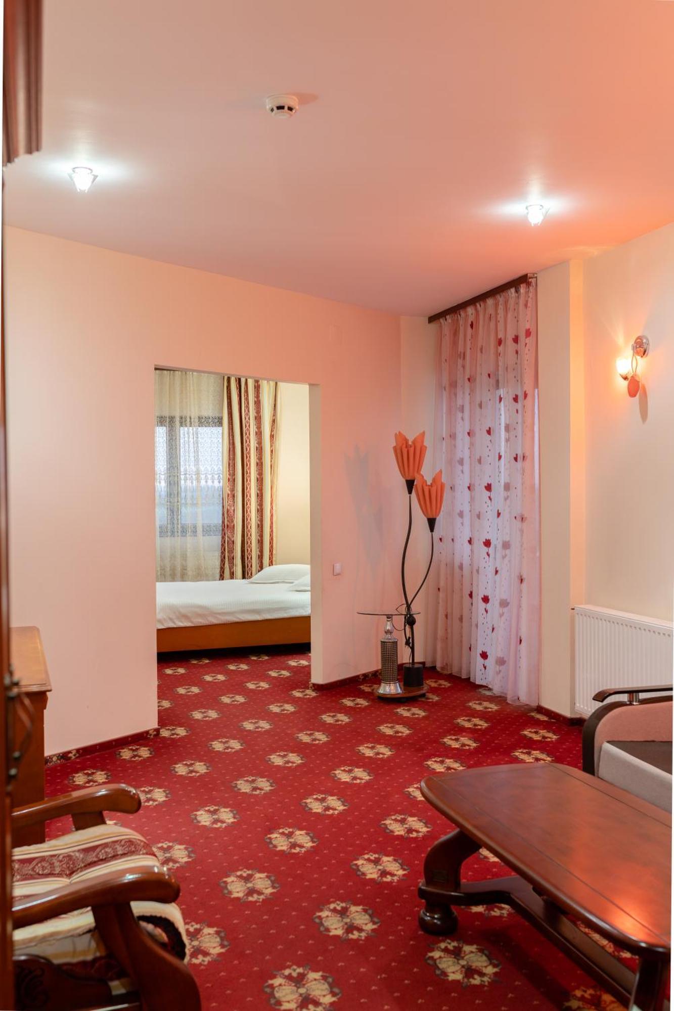 Hotel Coral Satu Mare Ngoại thất bức ảnh