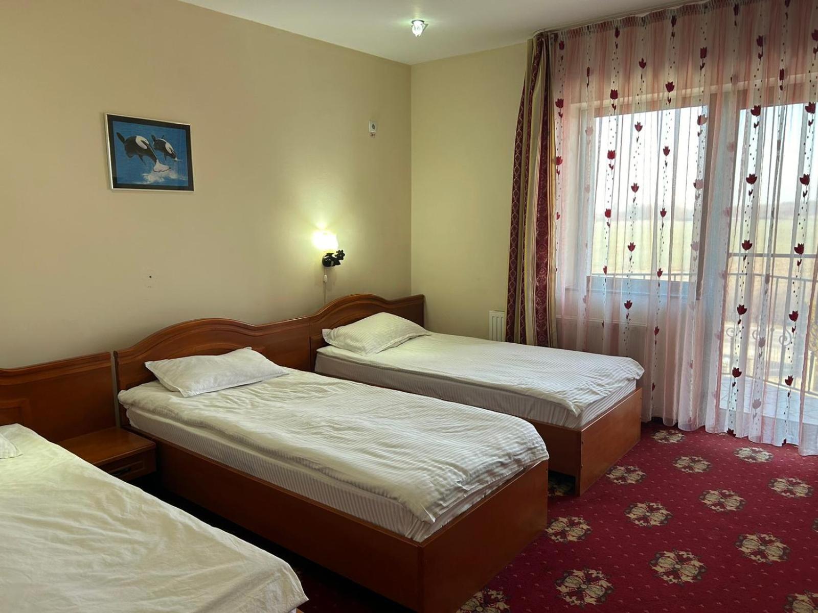 Hotel Coral Satu Mare Ngoại thất bức ảnh