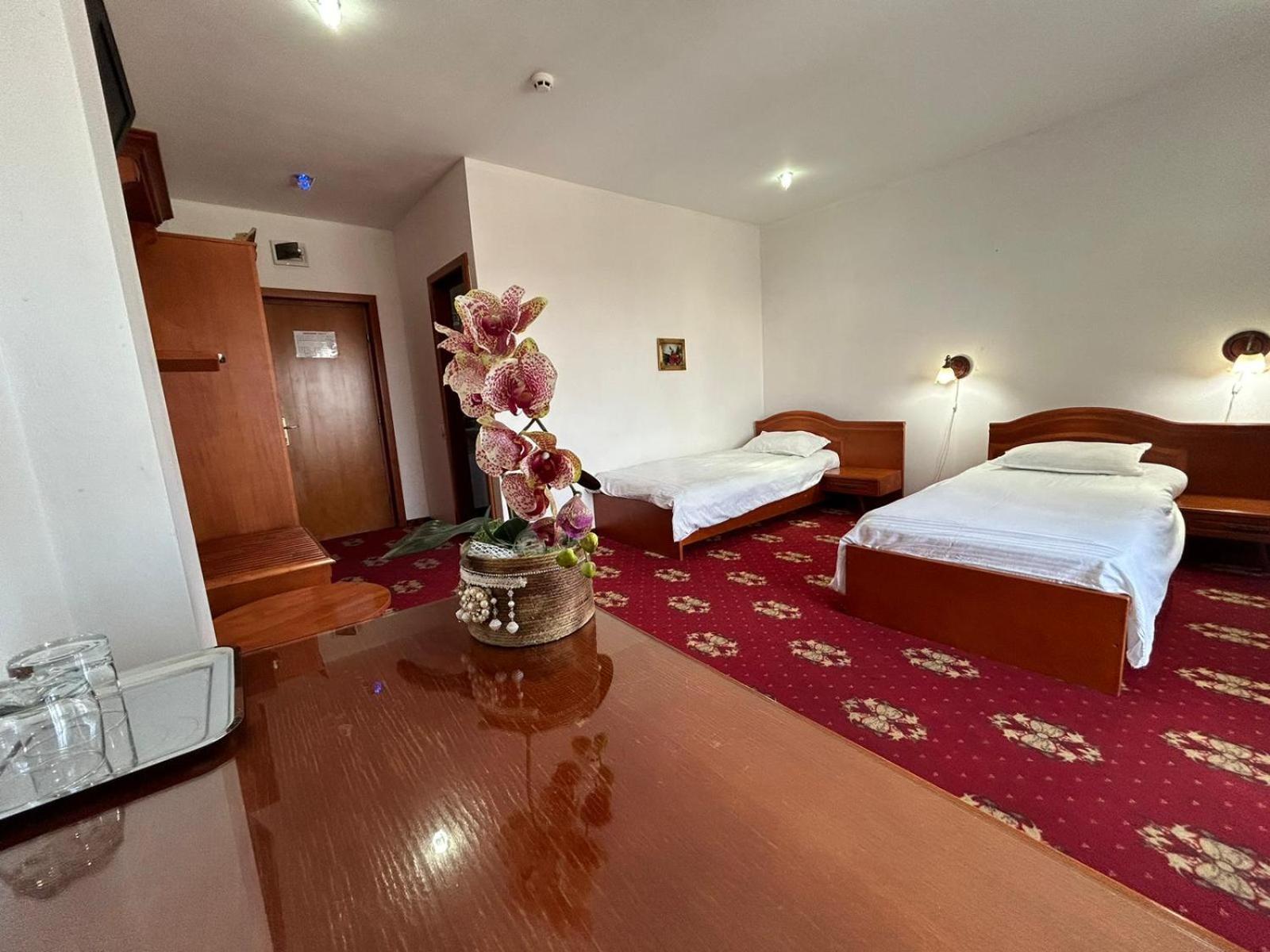 Hotel Coral Satu Mare Ngoại thất bức ảnh