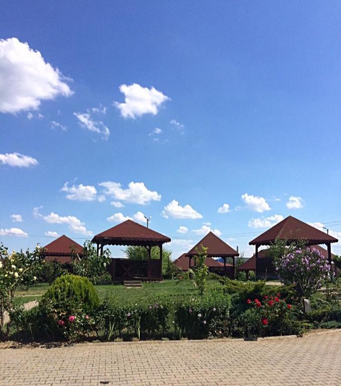 Hotel Coral Satu Mare Ngoại thất bức ảnh